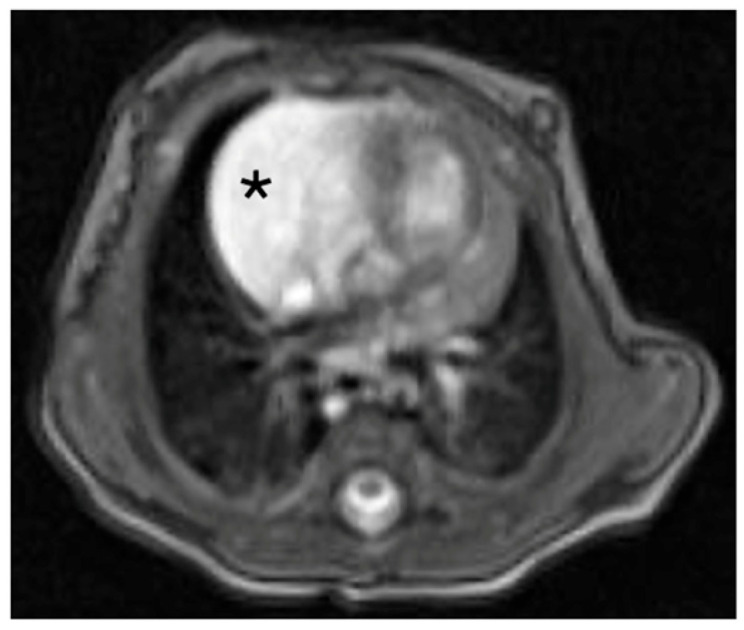 Key image 2