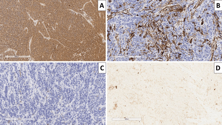 Key image 3