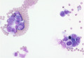 Key image 1