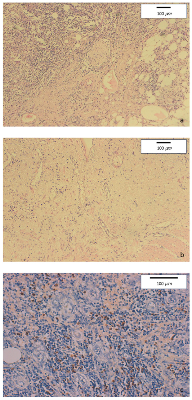 Key image 2