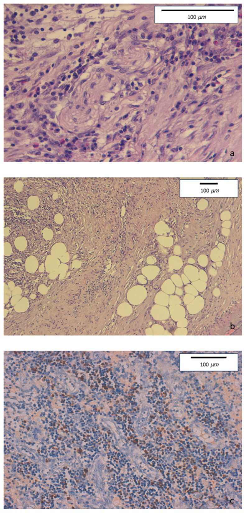 Key image 3