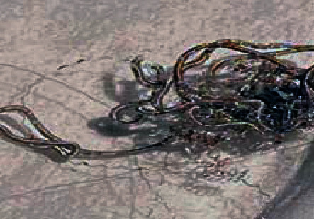 Key image 1