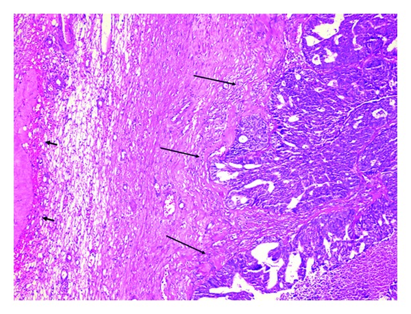Key image 1
