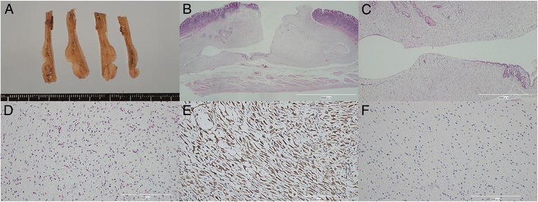 Key image 3