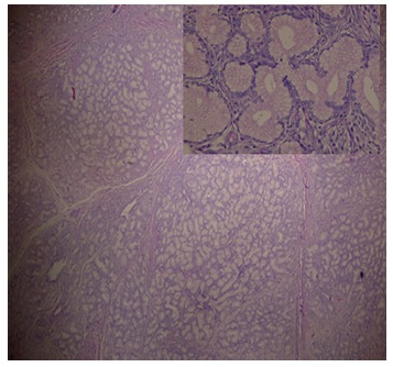 Key image 3
